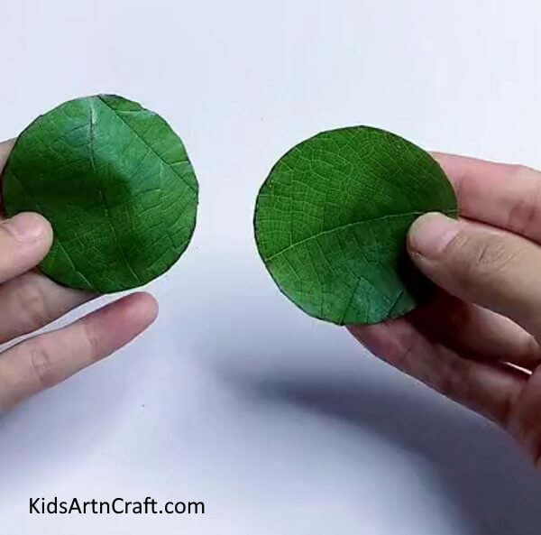 Making Eyes Using Leaf - Learn to craft a Green Leaf Frog with this tutorial 