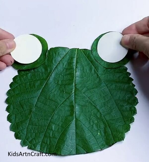 Making Eyes of The Frog - Crafting a Green Leaf Frog? Here's a simple guide 