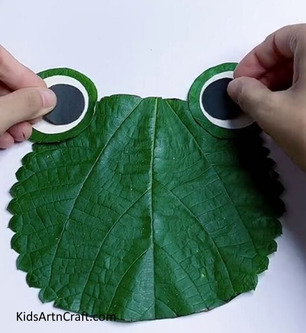 Making Eyes Of The Frog - This tutorial outlines how to craft a Green Leaf Frog 
