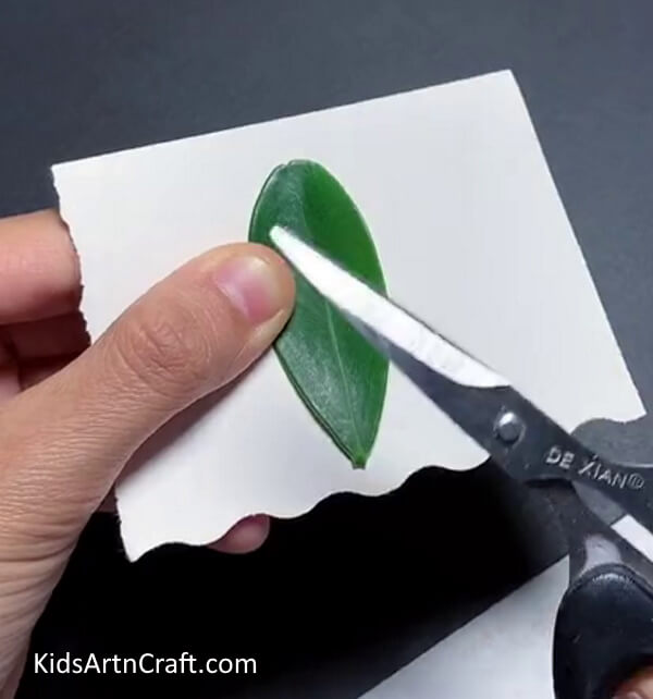 Cut The Paper By Using a Leaf Outline As The Crease- Making a Bee Craft Out of an Egg Carton for Youngsters