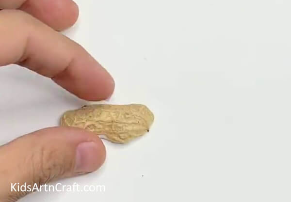 Pasting Peanut Shell - A straightforward canine art creation comprised of a peanut hull. 