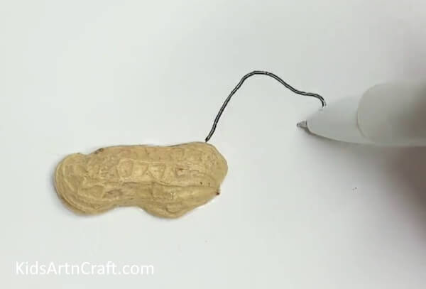 Drawing Dog Using Black Pen - A simple pup creation made using a peanut casing. 