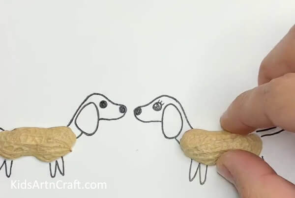 Pasting Shell On Another Dog - A straightforward doggy DIY made with a peanut husk. 