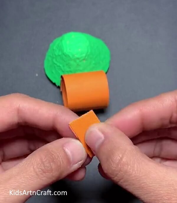 Folding Paper - Transform Egg Cartons into a Turtle - An Idea for Kindergartners