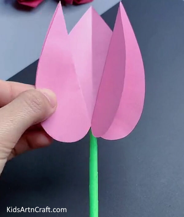 Making Tulip Flower - Creating a tulip paper flower is a straightforward craft for kids.