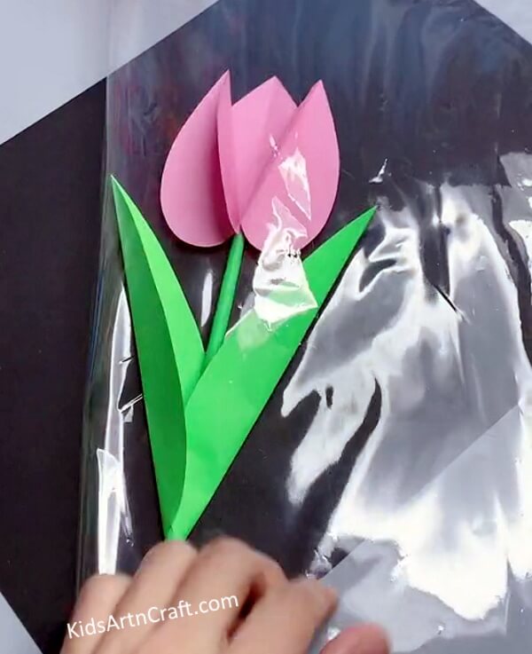 Covering Flower With Transparent Plastic Roll - Paper Tulips - A Fun Project for the Kids 