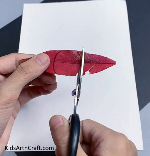 Cutting the Leaf. To Make fall leaf artwork for kids
