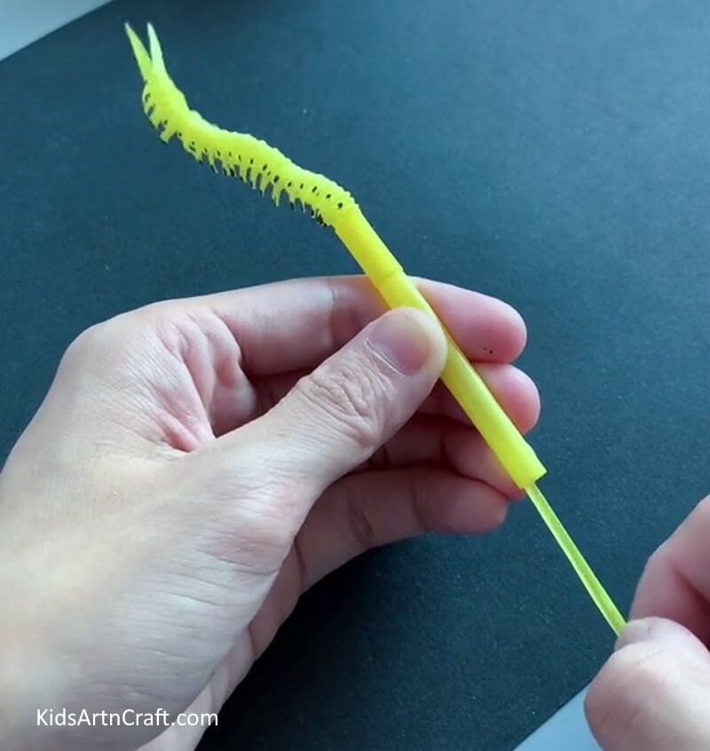 Caterpillar Is Moving - A unique caterpillar artistry made with a straw. 