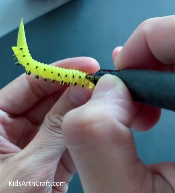 Drawing Details Using Marker - Developing a caterpillar using a straw