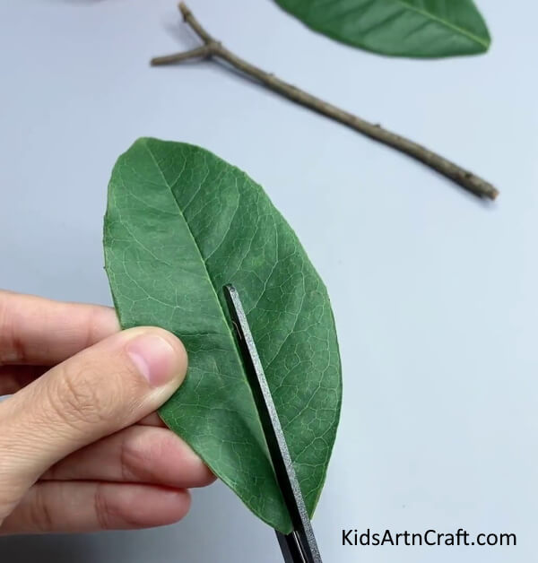 Cut Leaf Into Half - A Simple DIY Insect Art Project Utilizing a Leaf