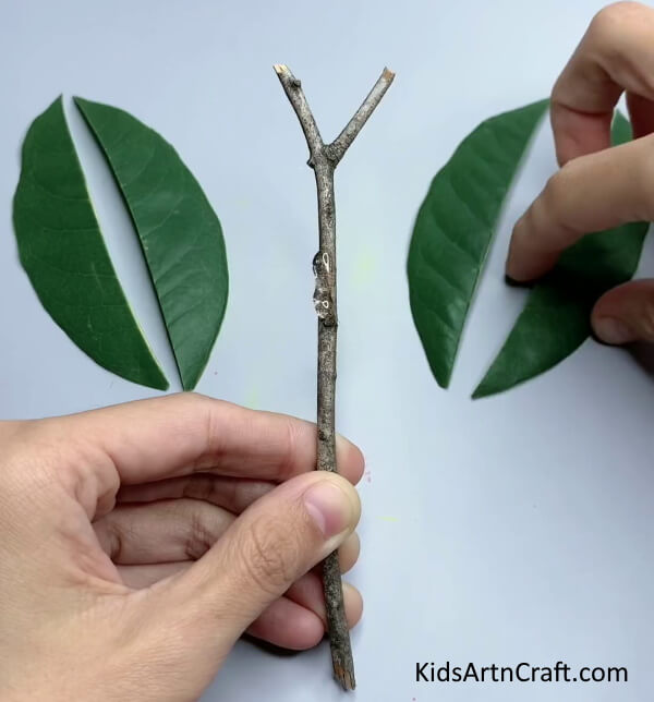 Getting A Tree Stem Stick - Crafting a Bug with Just a Leaf - It's Easier Than You'd Think!