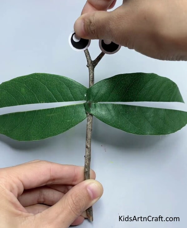 Pasting Eyes - Crafting a Bug Out of a Leaf - It's Easier Than You'd Imagine!