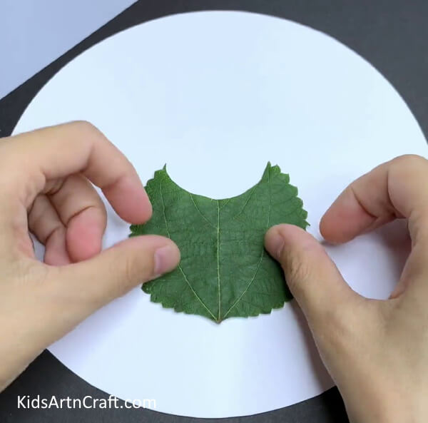 Cutting Leaf And Pasting It - Crafting an Owl with a Leaf - An Easy Tutorial
