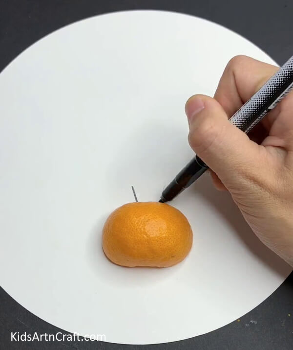 Drawing Eyes - A guide to constructing an orange peel craft with young ones