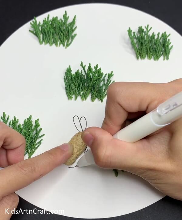 Drawing Bunny's Legs Using A Black Pen - How to repurpose peanut shells into a bunny craft.