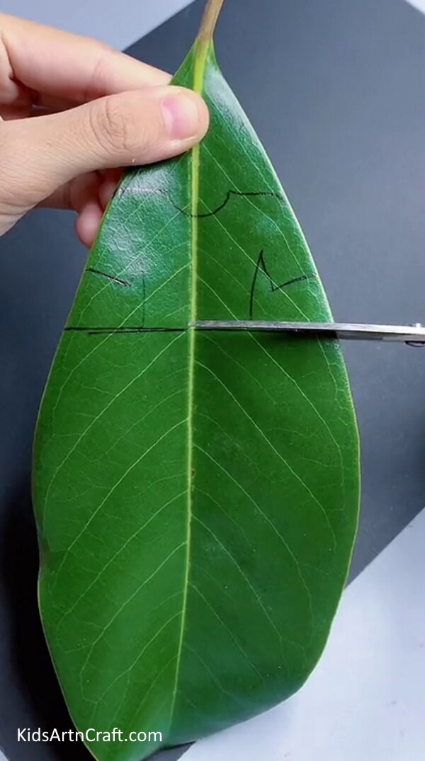 Drawing T-shirt On Green Leaf - An Unconventional Method to Fashion a Boy Out of Fallen Leaves with a Step-By-Step Guide