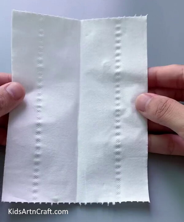 Folding Paper Towel - Creating a Rainbow Water Walking Experiment for Fun