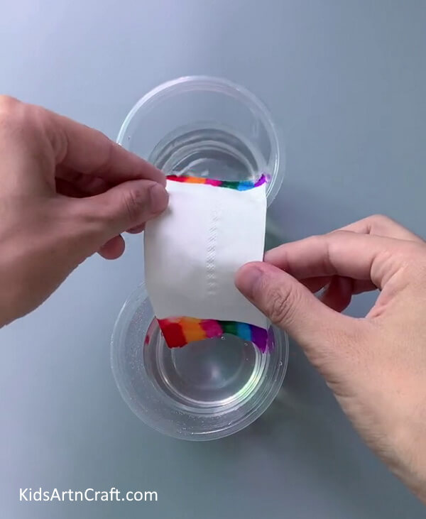Putting Paper Towel In Glass Of Water - Engaging in a Rainbow Water Walking Activity For Science