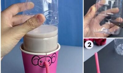 How to Make easy drinking fountain For Kids
