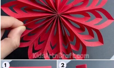 Paper Snowflake Pattern Step by Step Tutorial