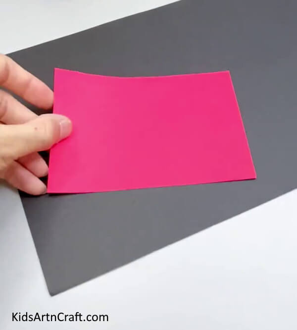 Taking A Pink Sheet - A Step-by-Step Guide for Constructing a Fish Out of Paper