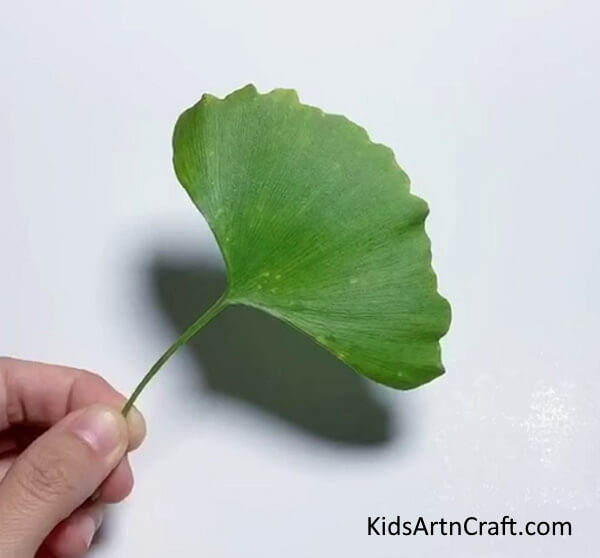 Grabbing A Green Leaf - Constructing a Caterpillar Using Bright Leaves