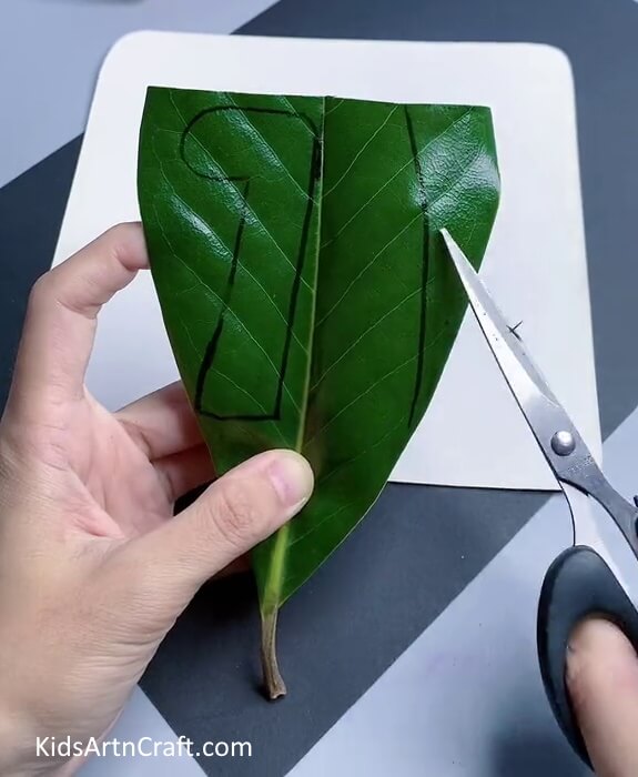 Cutting Dinosaur's Head and Tail - A Simple Dinosaur Craft For Children Employing Fresh Leaf