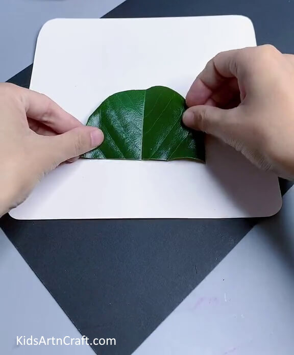 Pasting Leaf Hemisphere On Paper - A Simple Dinosaur Craft For Kids Made With Fresh Leaf