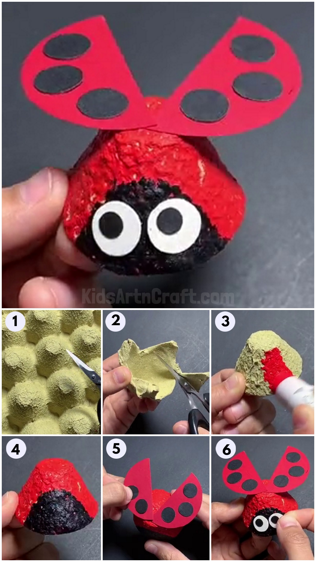 Easy Ladybugs Craft from Recycled Egg Carton