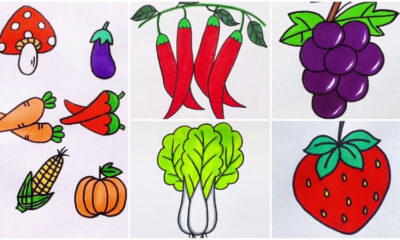 Fruits & Vegetables Drawing Project Video Tutorial for All