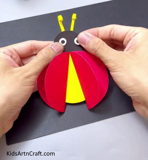 Making Eyes - Design A Basic Ladybug Work For Children