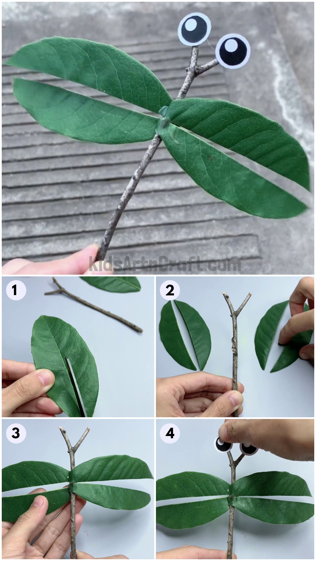 Learn To Make Bug From Leaf Easy Craft for Kids
