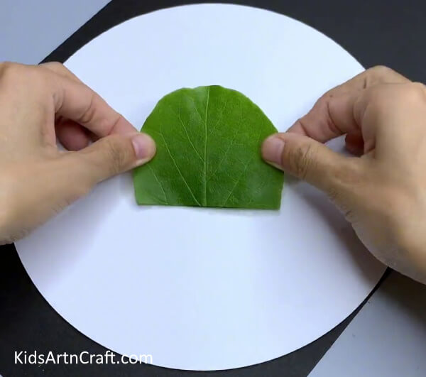 Pasting Top Half Green Leaf - Crafting Leaf-Based Turtles Easily