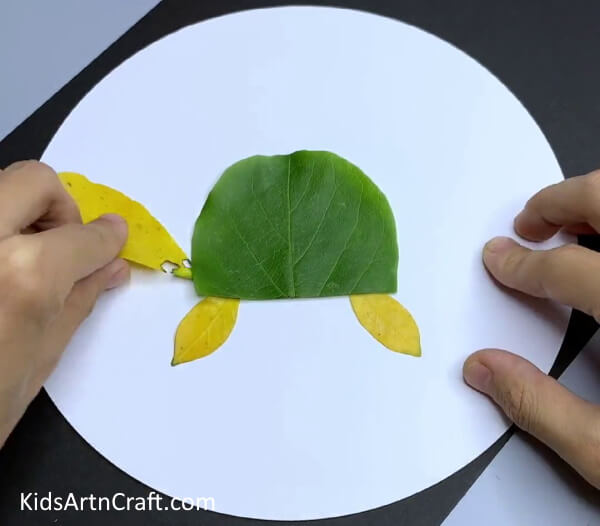 Pasting Leaf - Making Turtles Out Of Leaves - A Snap