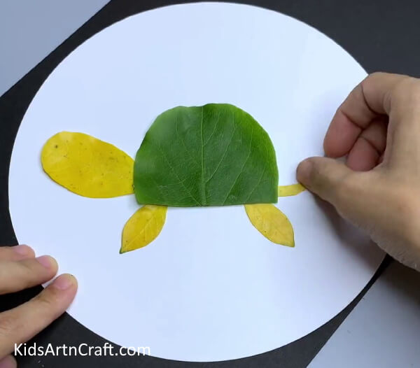 Pasting Leaf To Make Tail - Crafting Leaf-Made Turtles - Not Difficult