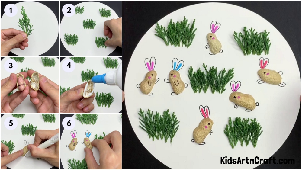 Peanut Shell Bunny Craft Tutorial For Kids