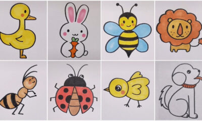 To Make Simple Animal Drawing At Home Video Tutorial for Kids