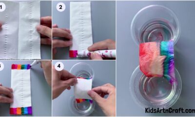 Walking Water Rainbow Science Experiment for Kids