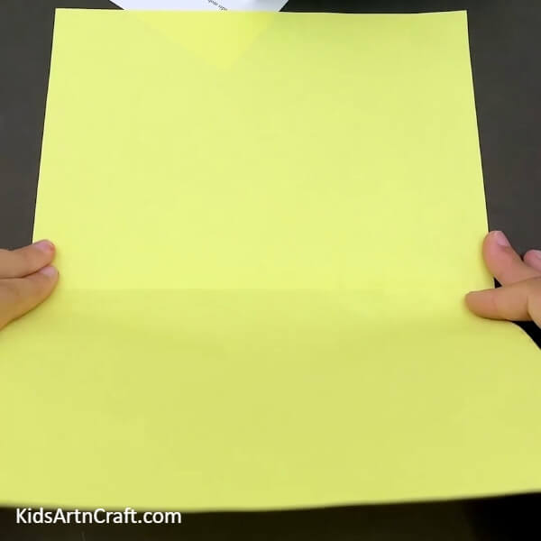 Take The Paper And Fold It-Incredible Step-by-Step Guide to Making a Paper Peacock Craft for Kids