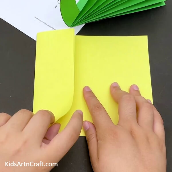 Take One Side Of The Paper And Fold It-Detailed Instructions for a Paper Peacock Craft for Beginners