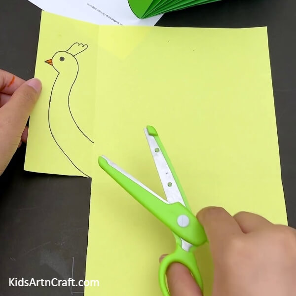 Draw And Cut The Shape Of A Peacock-An Easy Tutorial on Crafting a Paper Peacock for Kids
