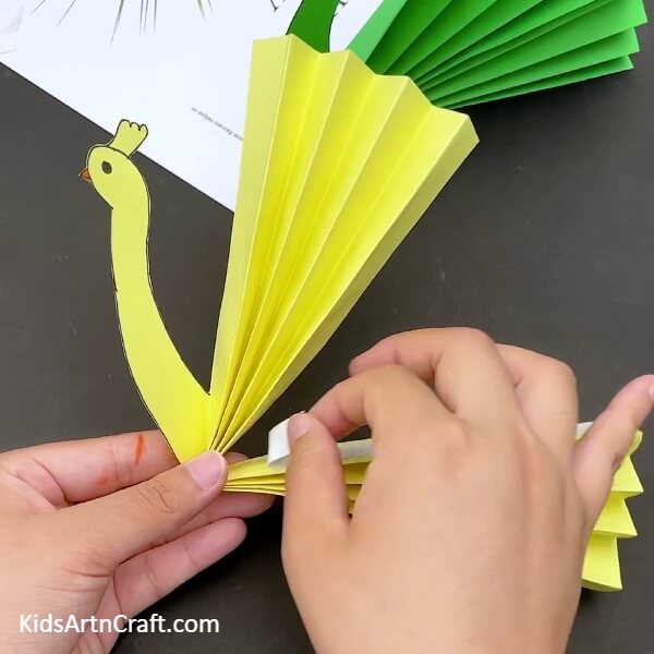 Fold The Fan Design And Paste A Double Sided Tape-A Tutorial on How to Create a Paper Peacock Craft for Beginners 