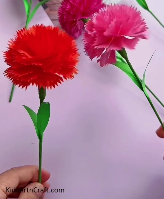 Your Craft Is Ready- Create Pretty Carnation Paper Blooms Easily With This Tutorial for Beginners