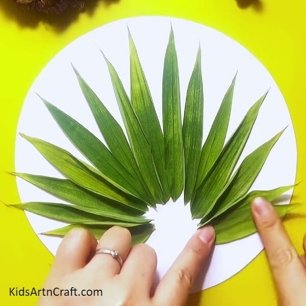 Stick the big green leaves till the end- A delightful leaf peacock activity for kids