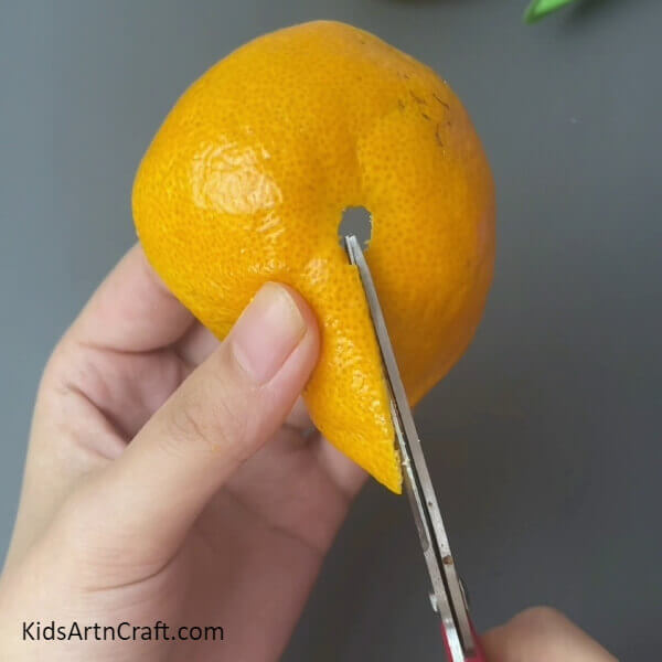 Cutting The Peel Into Pieces-Devising a Stunning Orange Peel Garden with your Kids