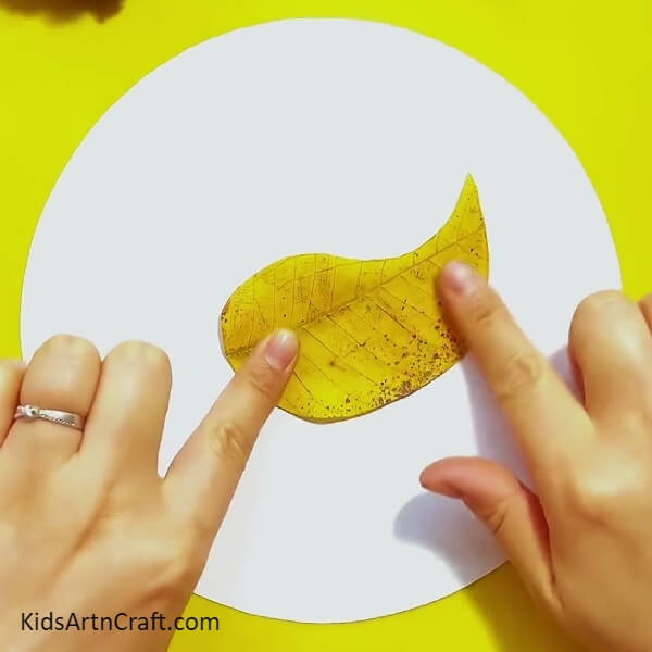 Taking a Leaf - Learn How to Make a Fun Hedgehog Out of Fall Leaves for Novice Crafters