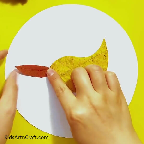 Placing a Smaller Leaf - Craft a Cute Hedgehog Out of Autumn Leaves - A Tutorial for the Uninitiated
