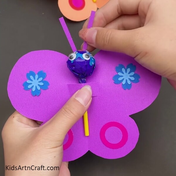 Creating Butterfly's Antenna- Inspiring Packaging Solutions For Starting Butterfly Lollipop Designers