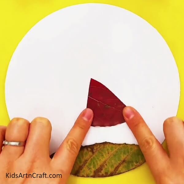Take A Brown Leaf, Cut A Cone Out Of It And Paste It Above The Green Leaf-Creating a Cute Artwork with Red Riding Hood and Fallen Leaves