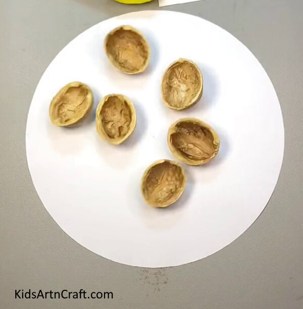 Take six walnuts shells-Complete procedure to make a Cute Walnut Shell Mice for Beginners